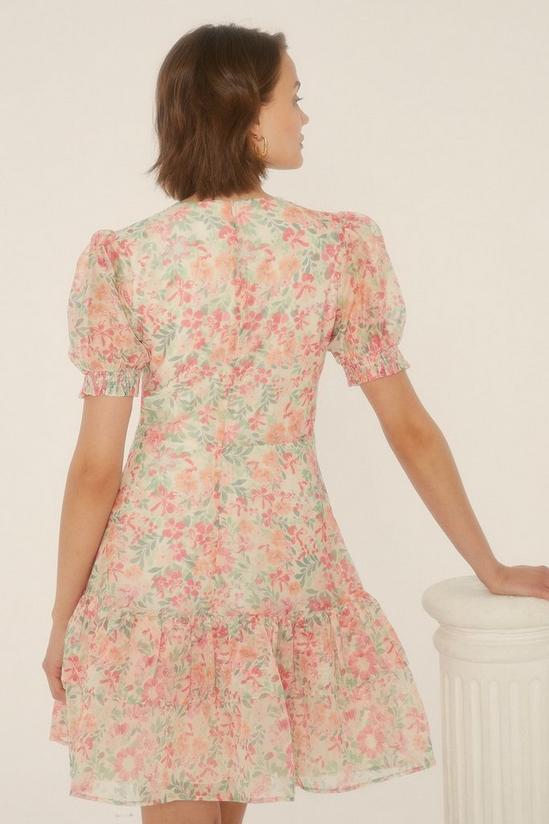 Oasis Floral Organza  Tiered Skater Dress 3