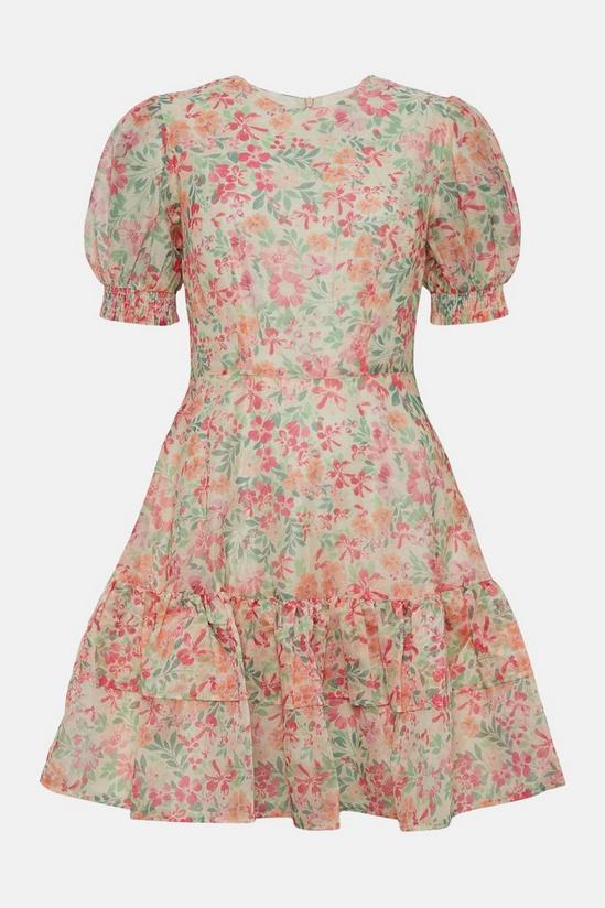 Oasis Floral Organza  Tiered Skater Dress 4