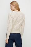 Oasis Embroidered Pointelle Detail Jumper thumbnail 3