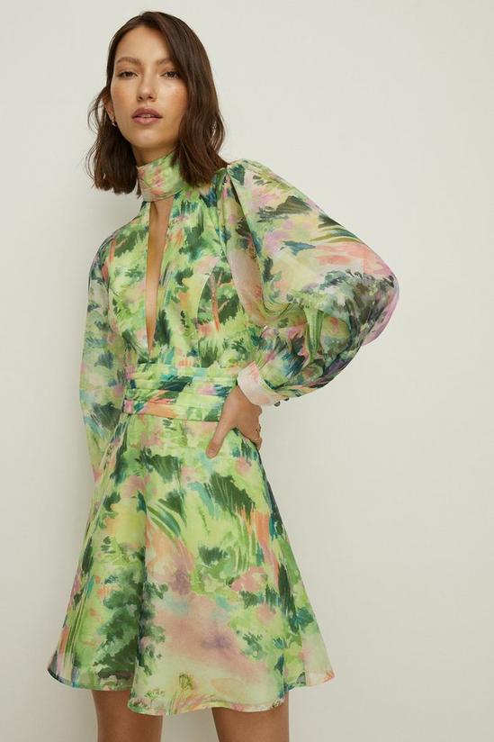 Oasis Rose Dufton Landscape Organza Mini Dress 1
