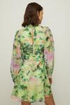Oasis Rose Dufton Landscape Organza Mini Dress thumbnail 3