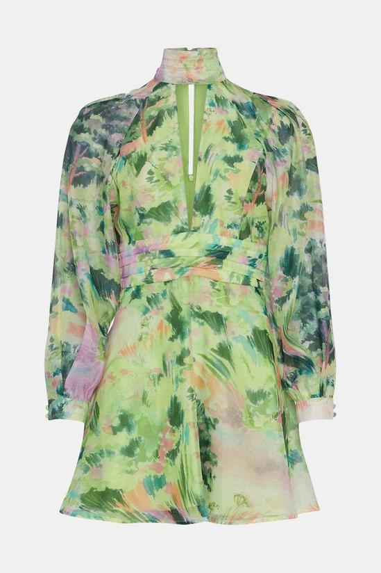 Oasis Rose Dufton Landscape Organza Mini Dress 4