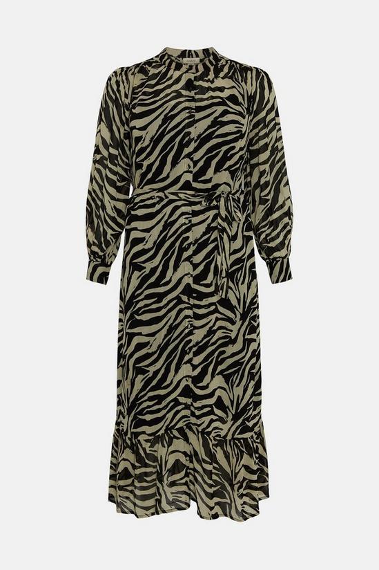 Oasis Plus Size Zebra Printed Belted Shirt Dress 4