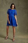 Oasis Premium Lace Puff Sleeve Skater Dress thumbnail 2
