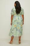 Oasis Plus Size Floral Dobby Chiffon Lace Dress thumbnail 3