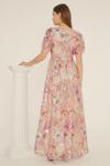 Oasis Sequin Embroidered Floral Mesh V Neck Maxi Dress thumbnail 3