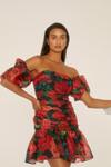 Oasis Rose Floral Ruched Mini Dress thumbnail 1
