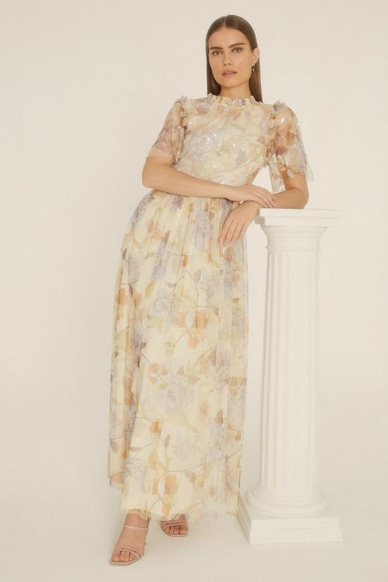 Oasis Pastel Floral Sequin Mesh Maxi Dress 1