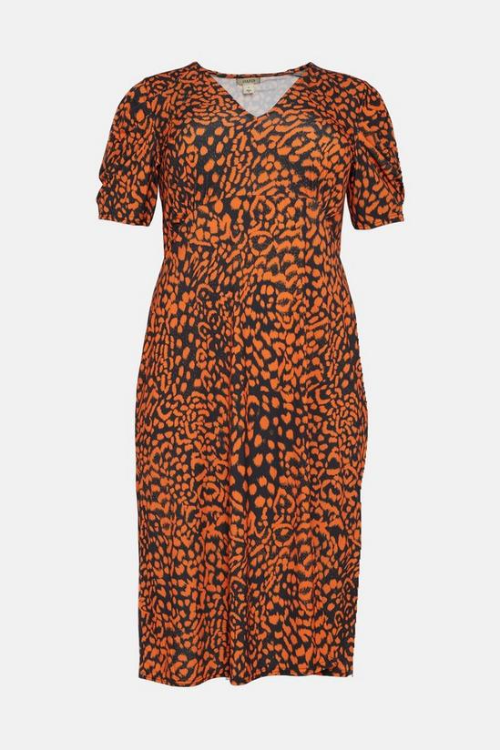 Oasis Curve Animal Ruched Sleeve Midi Dress 4
