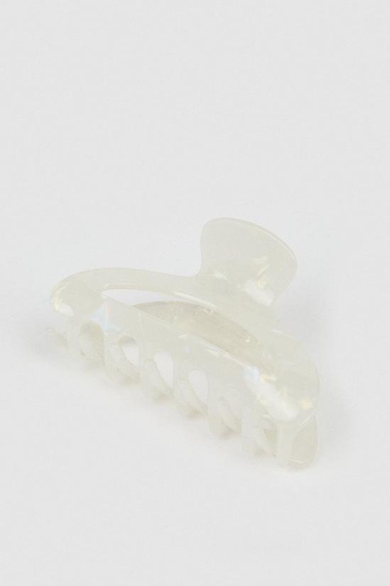 Oasis Pearlescent Claw Clip 2