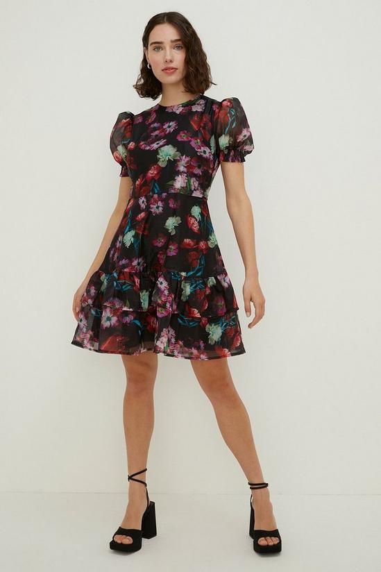 Oasis Petite Painted Floral Keyhole Organza Dress 2