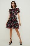 Oasis Painted Floral Tiered Organza Skater Dress thumbnail 2
