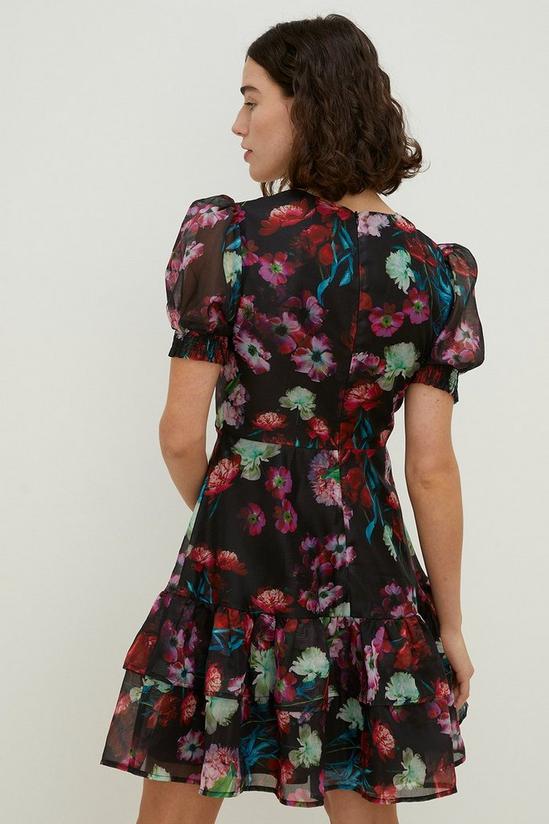 Oasis Painted Floral Tiered Organza Skater Dress 3