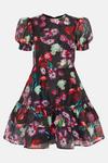 Oasis Painted Floral Tiered Organza Skater Dress thumbnail 4