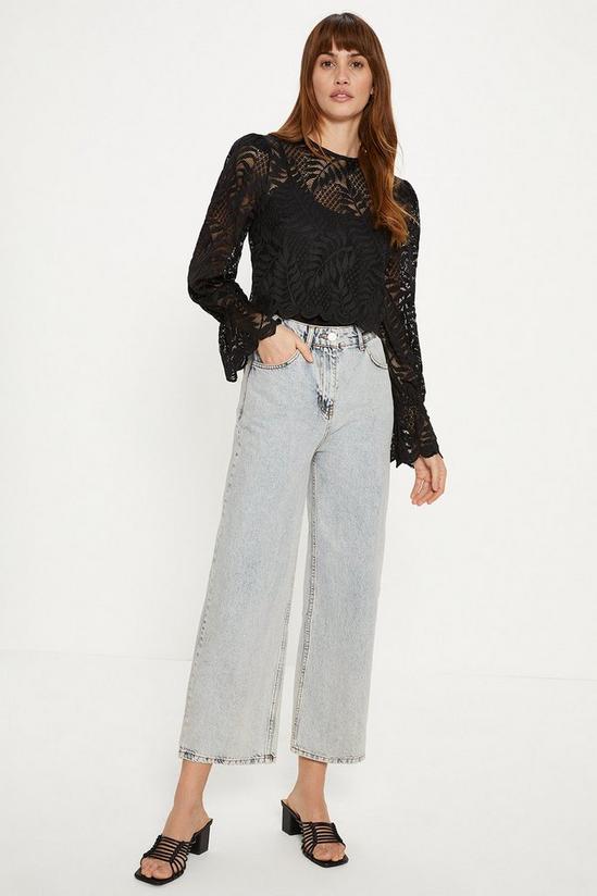 Oasis Long Sleeved Delicate Lace Top 2