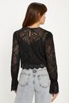 Oasis Long Sleeved Delicate Lace Top thumbnail 3