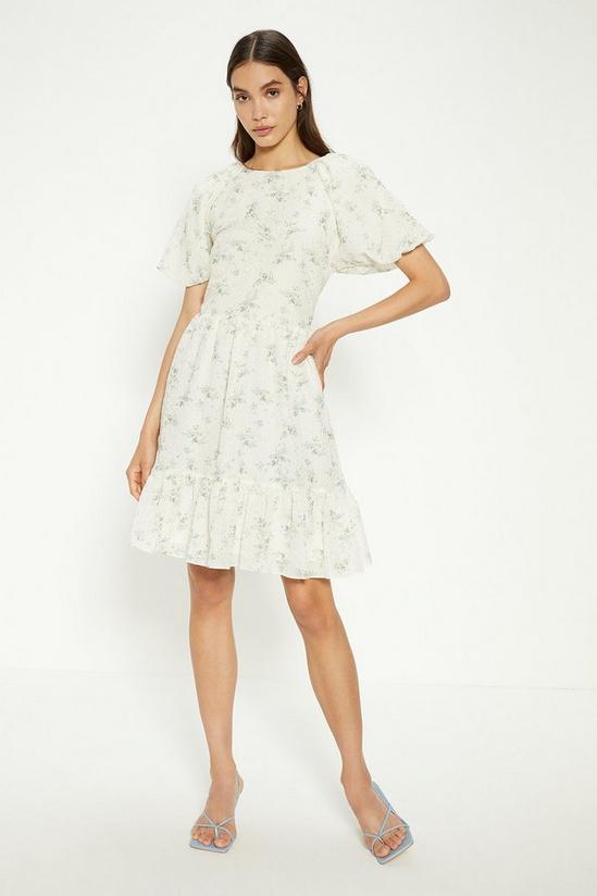 Oasis Textured Floral Bow Back Mini Dress 1