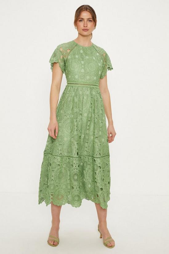 Oasis Petite Premium Floral Lace Cap Sleeve Midi Dress 1