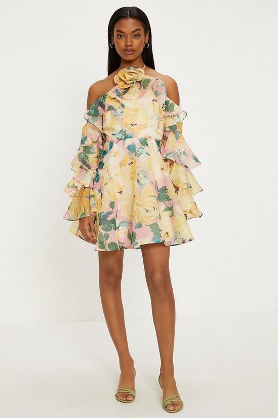 Oasis Statement Flower Ruffle Sleeve Organza Mini Dress 2