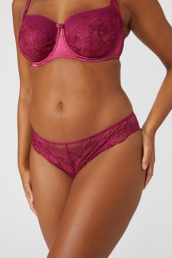 Oasis Gorgeous Heritage Bloom Embroidery Brief 2