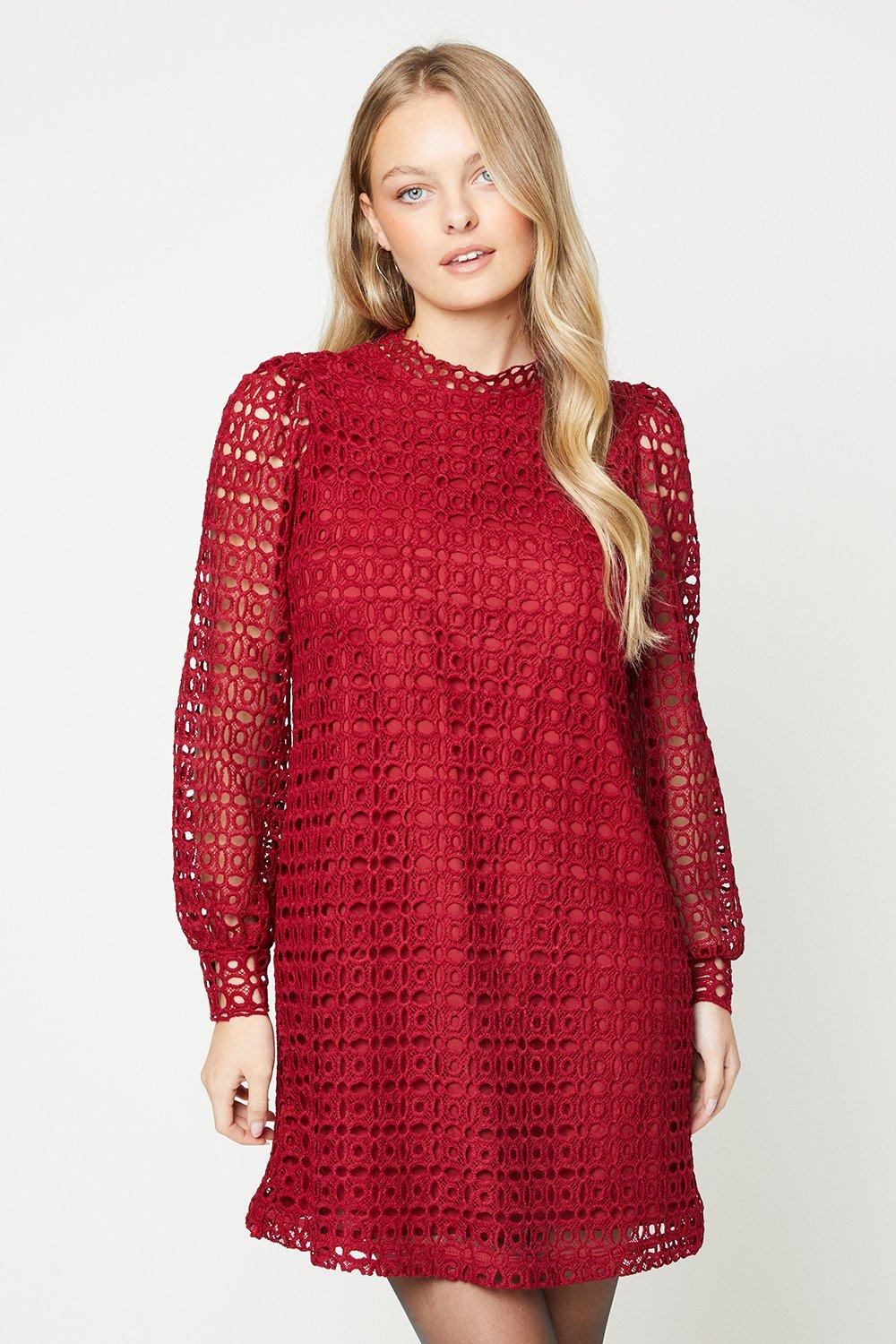 Lace High Neck Long Sleeve Shift Dressberry
