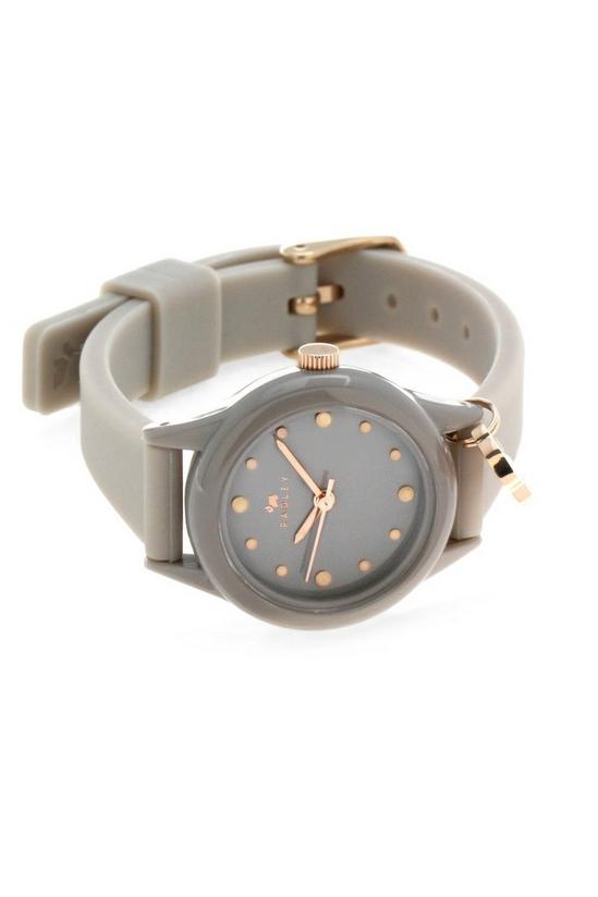 Radley Watch It Plastic/resin Fashion Analogue Quartz Watch - Ry2322 4