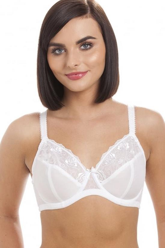 Lingerie, Classic Underwired Non Padded Full Cup Bra