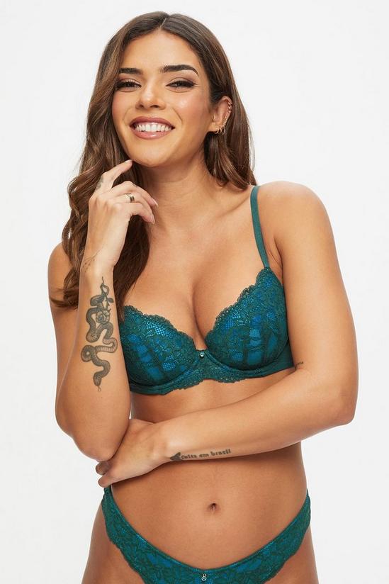 Lingerie, Sexy Lace Planet Padded Plunge Bra