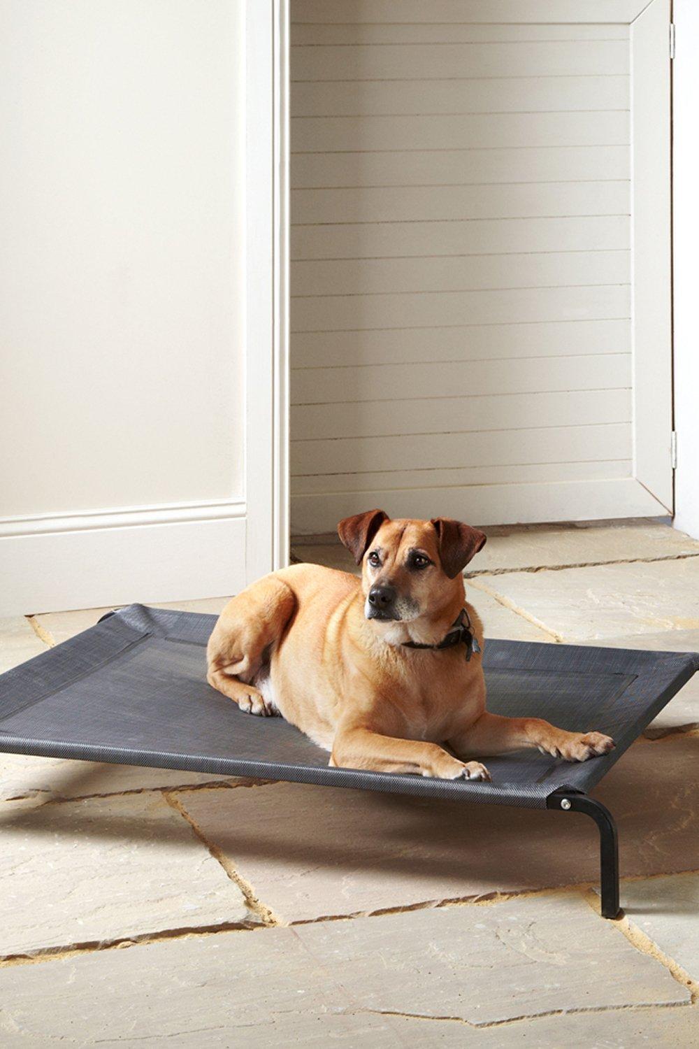 Bunty dog best sale bed waterproof