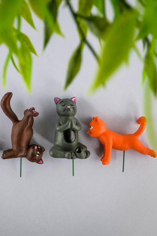 Novelty Gifts, Pack of 4 Mini Plant Pot Yoga Cats