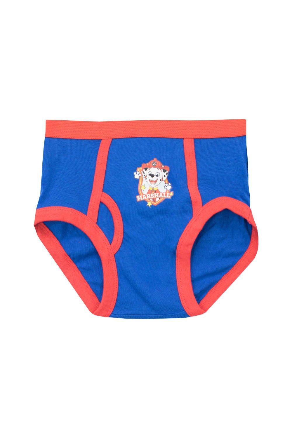 Underwear & Socks, Paw Patrol Underwear 5 Pack