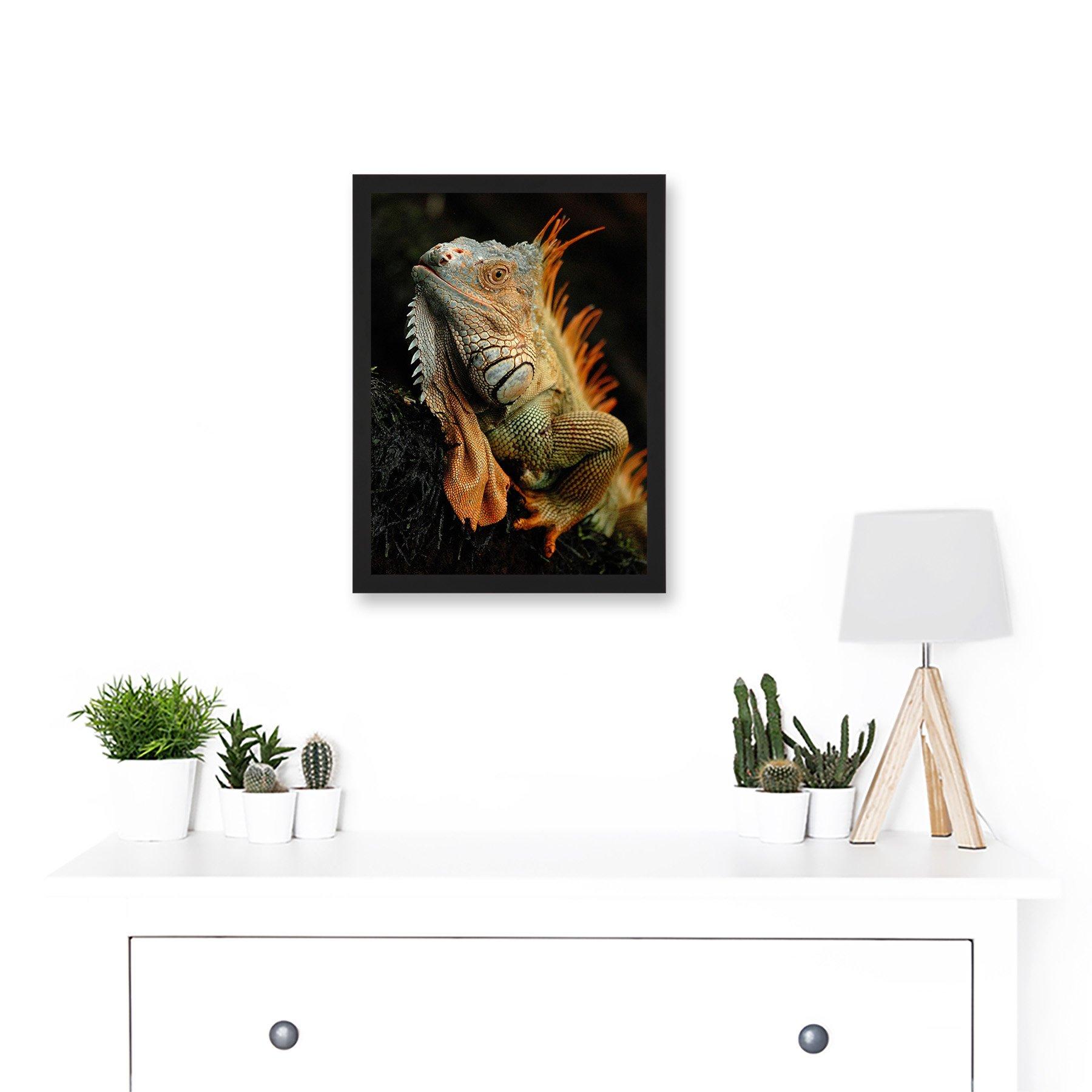  Photo Animal Iguana Lizard Reptile Scales Spines Artwork Framed  A3 Wall Art Print: Posters & Prints